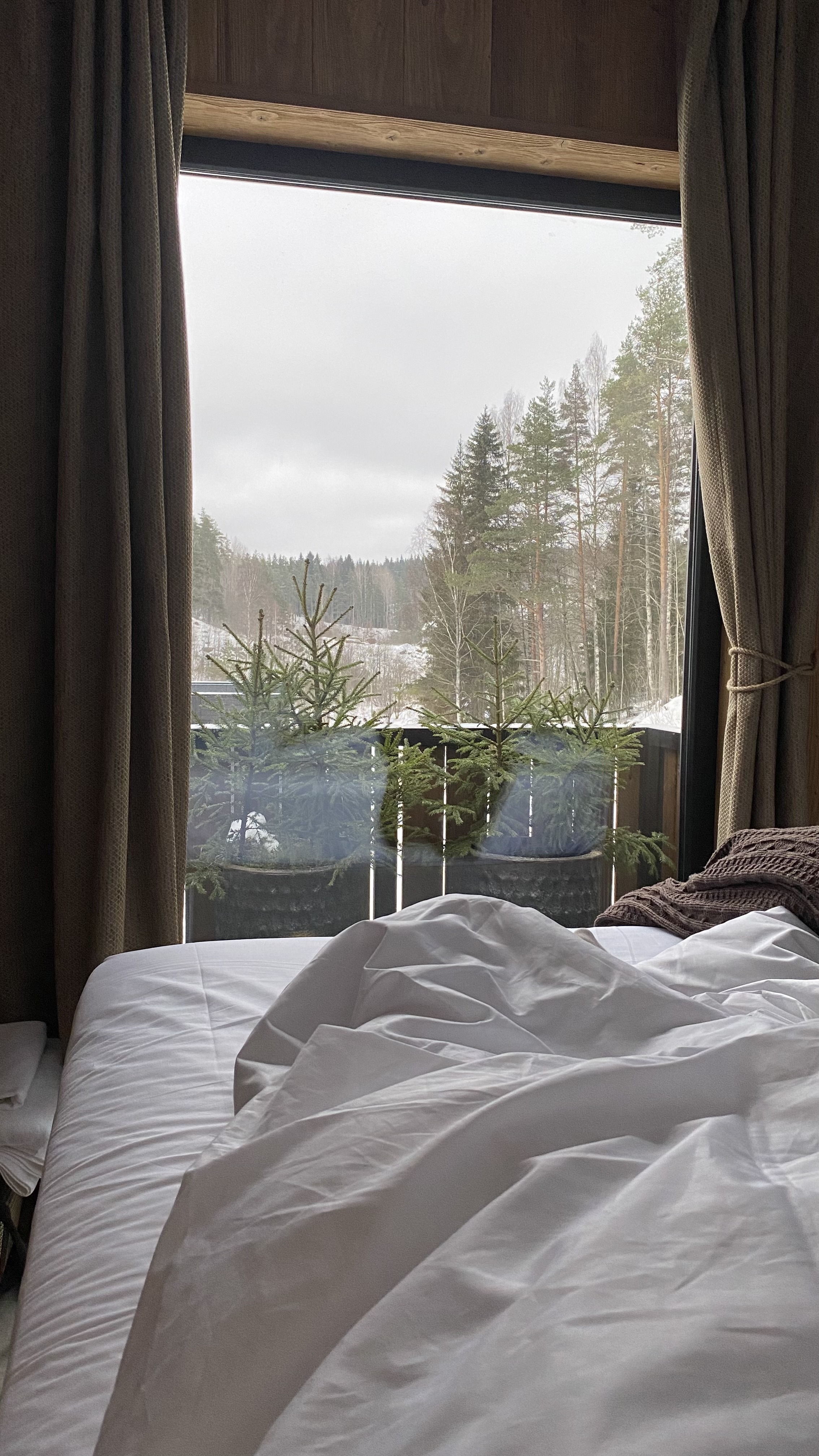 Фото Шелест