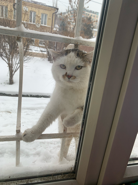 Фото Хостел 5642