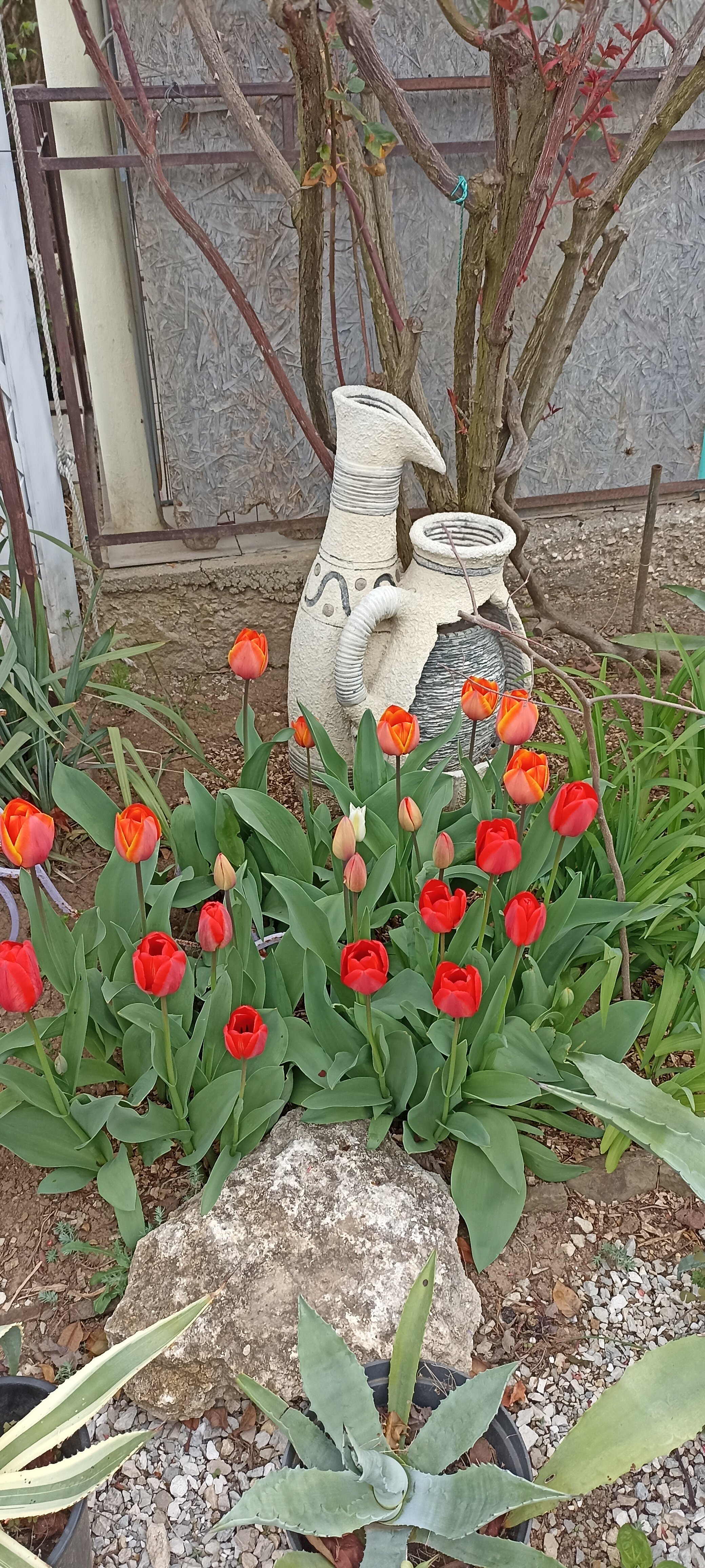 Фото Бумеранг