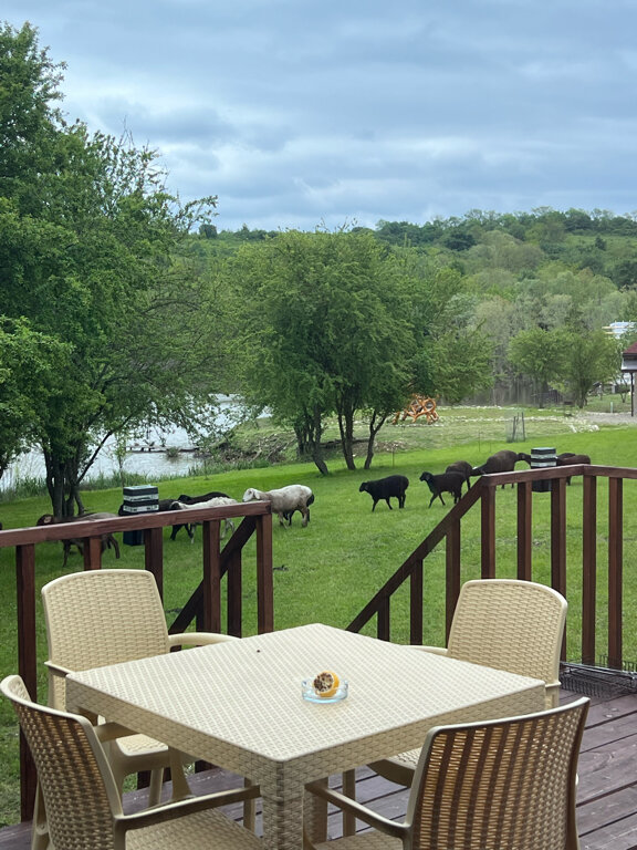 Фото Приозёрье