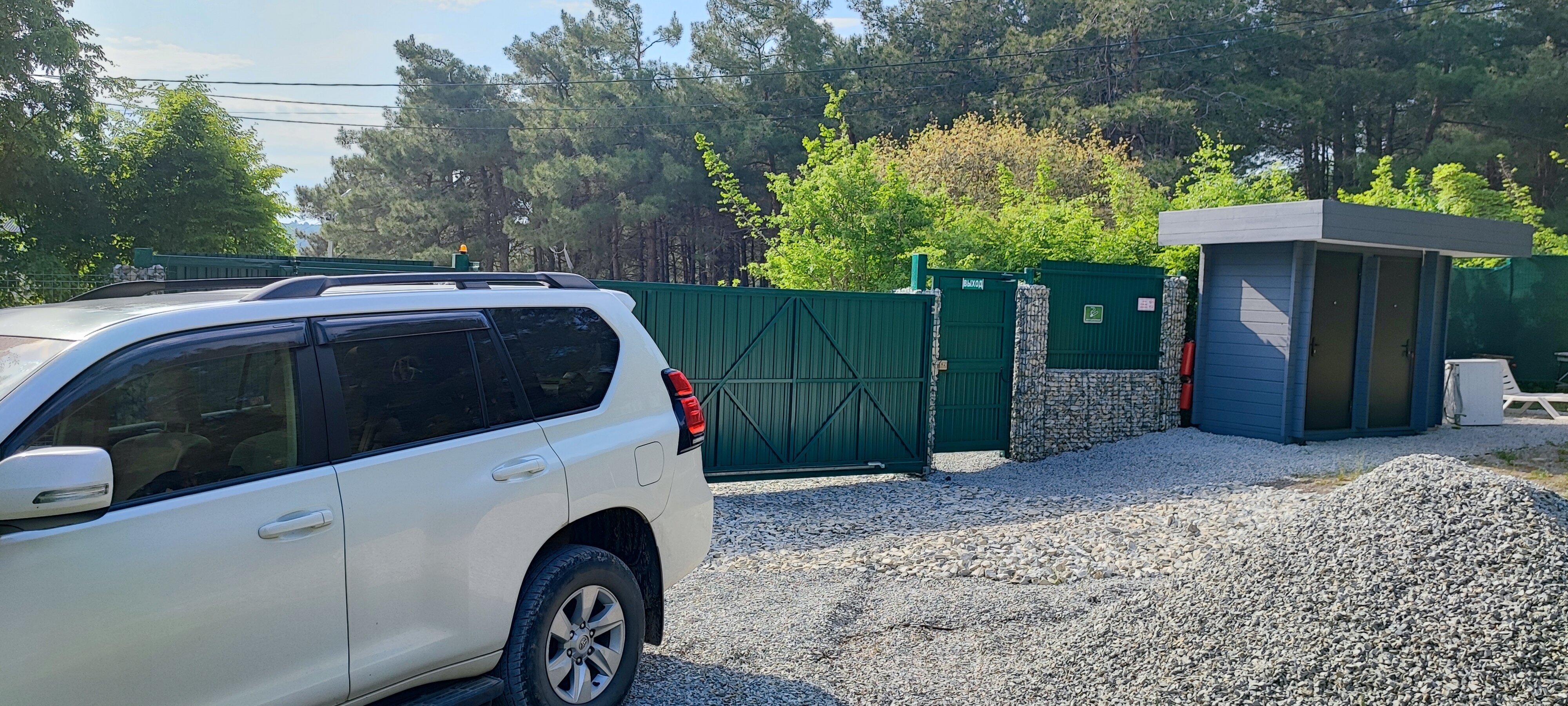 Фото Под соснами