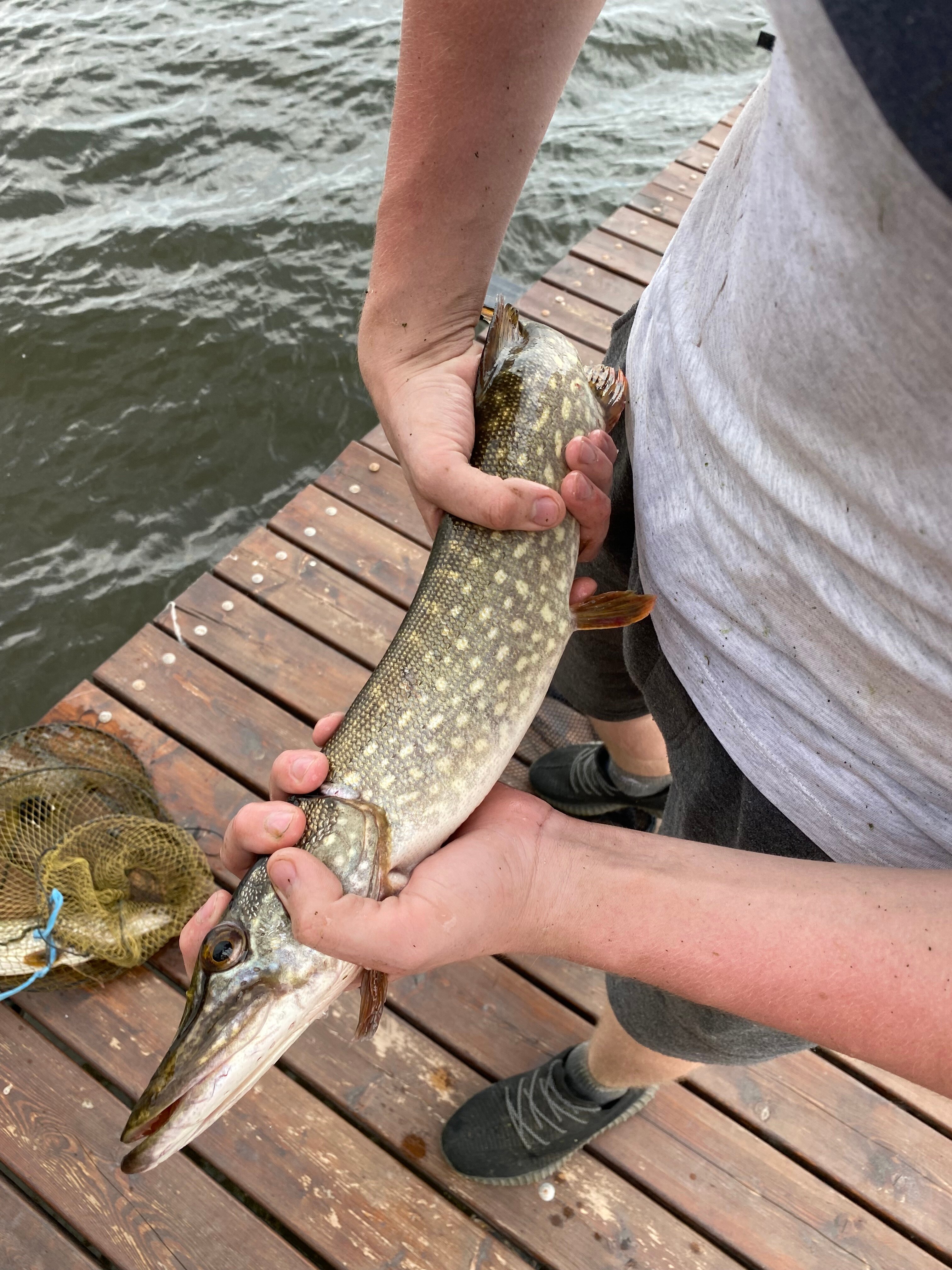 Фото СабуровДом