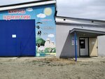 Udmurtia feed (Azina Street, 177Е), piensos compuestos y aditivos para piensos