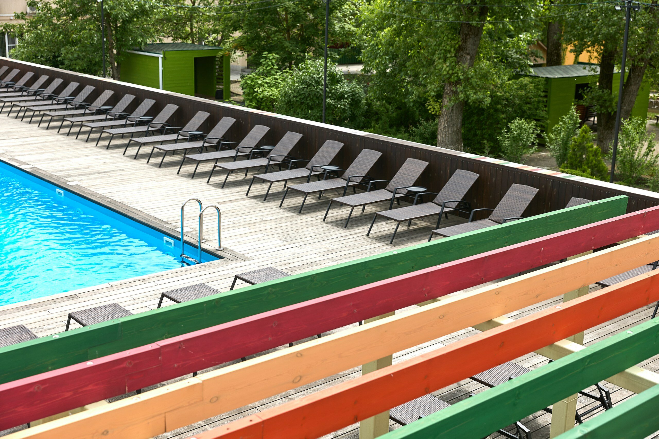 Фото Iva тенистая