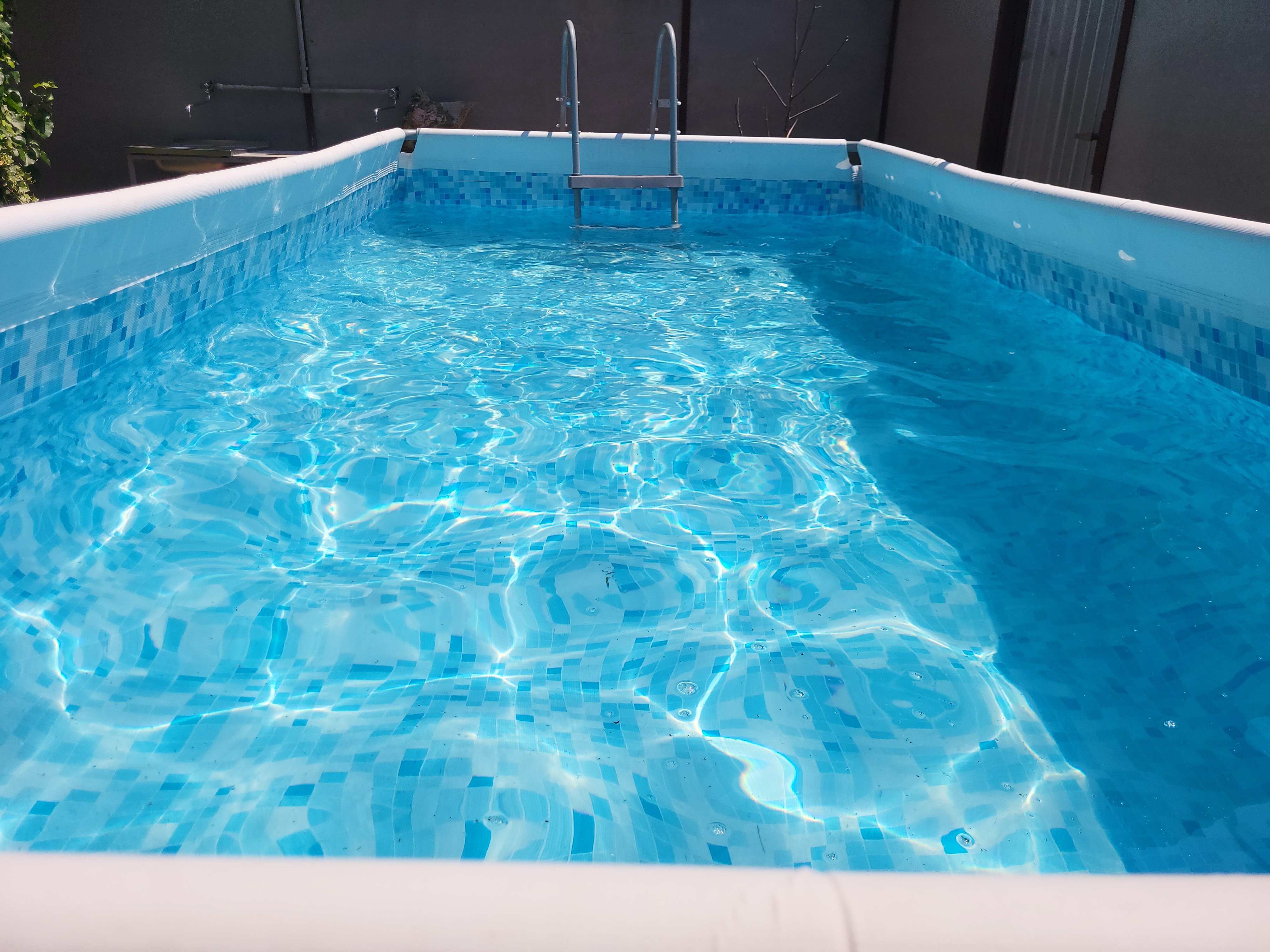 Фото Ариэль