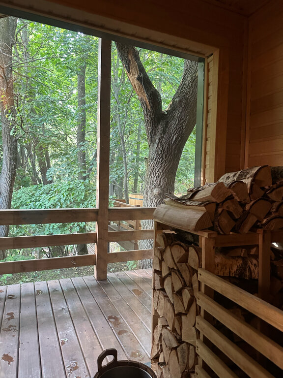 Фото Жёлуди