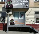 Hvostatii stilyaga (Karla Marksa Avenue, 67), pet salon