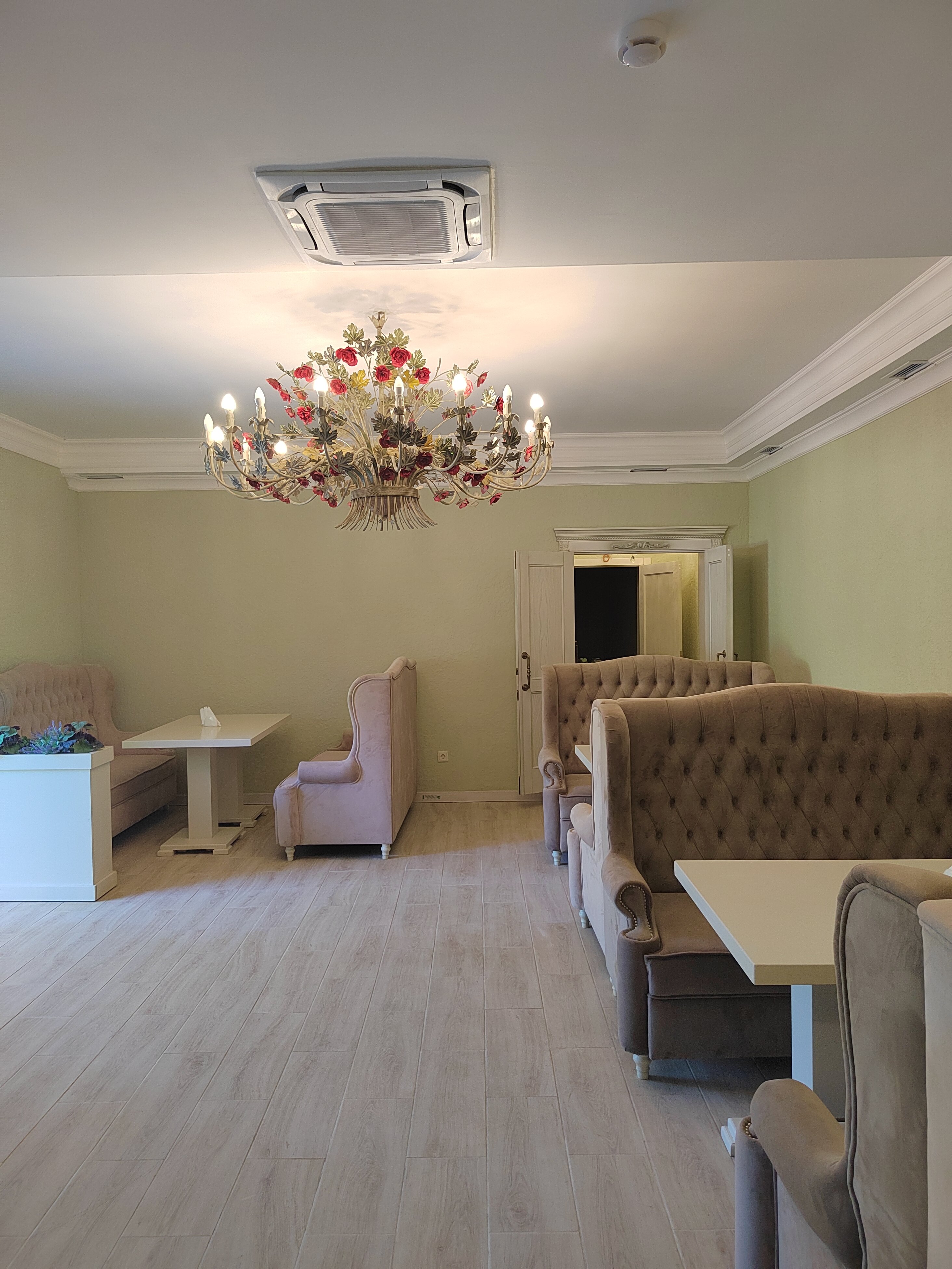 Фото Примула