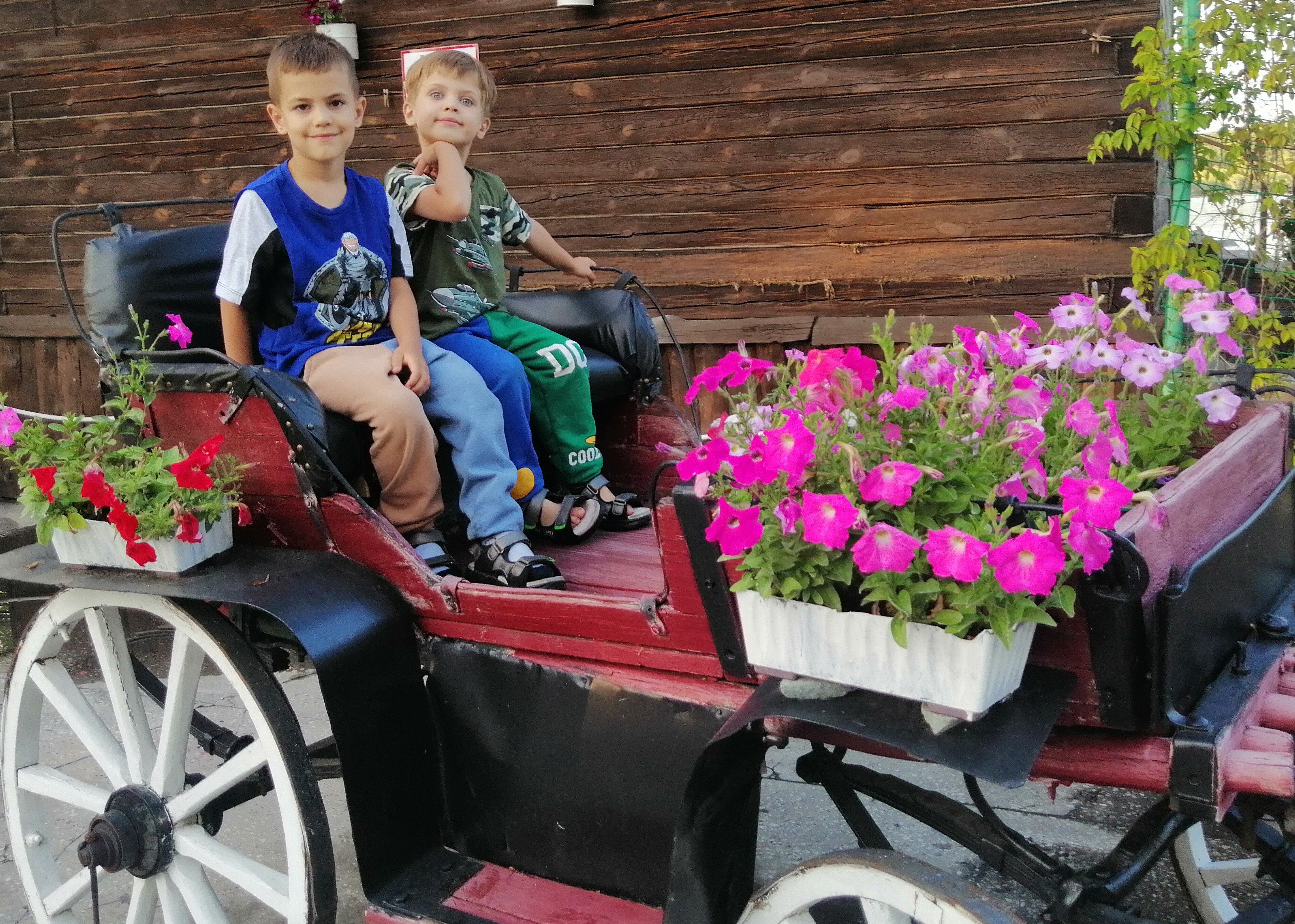 Фото Каменские Плёсы