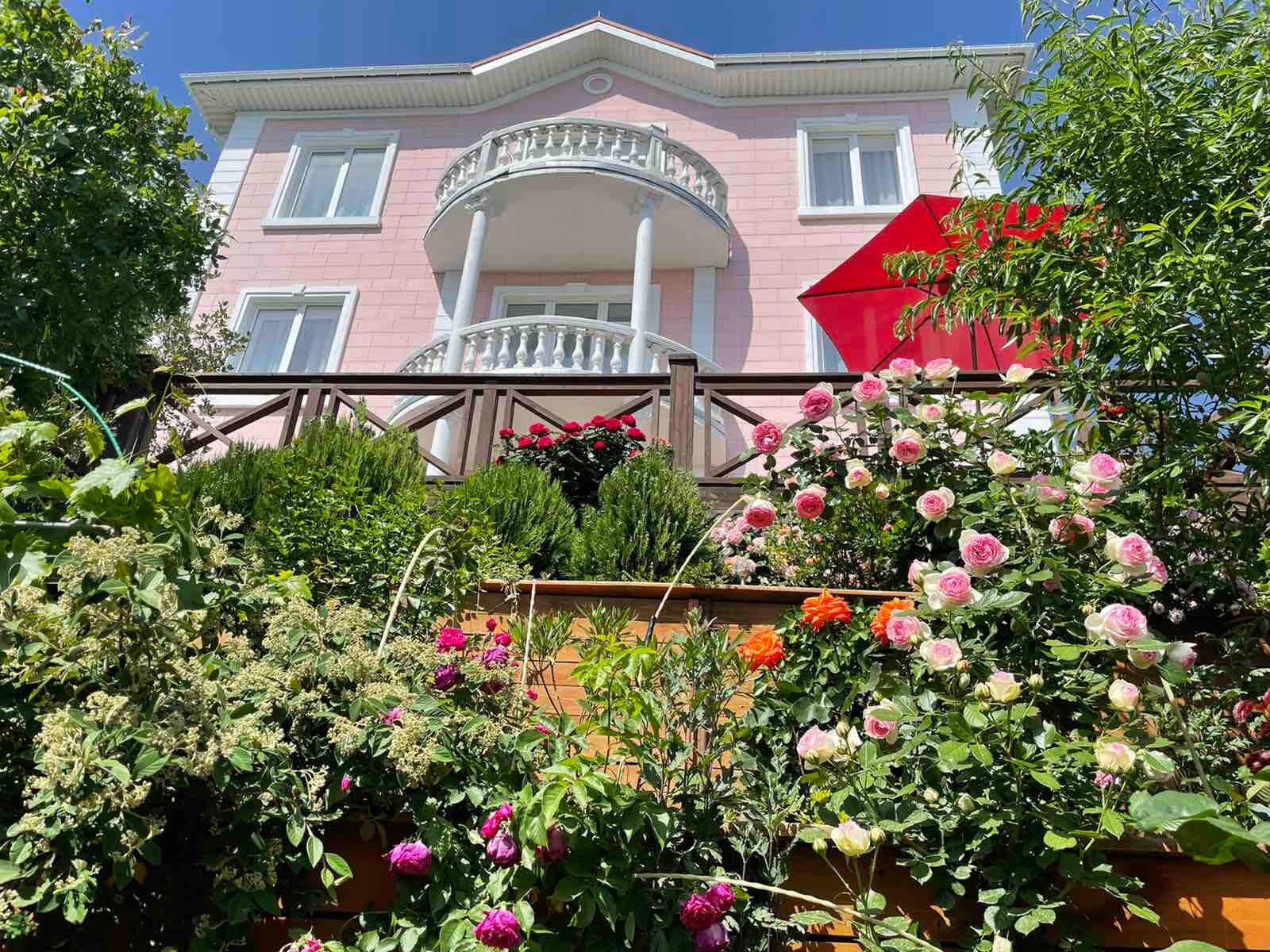 Фото Арт Прованс у моря