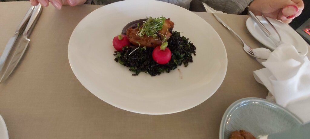 Resort Nurmuiža Castle, Talsi municipality, photo