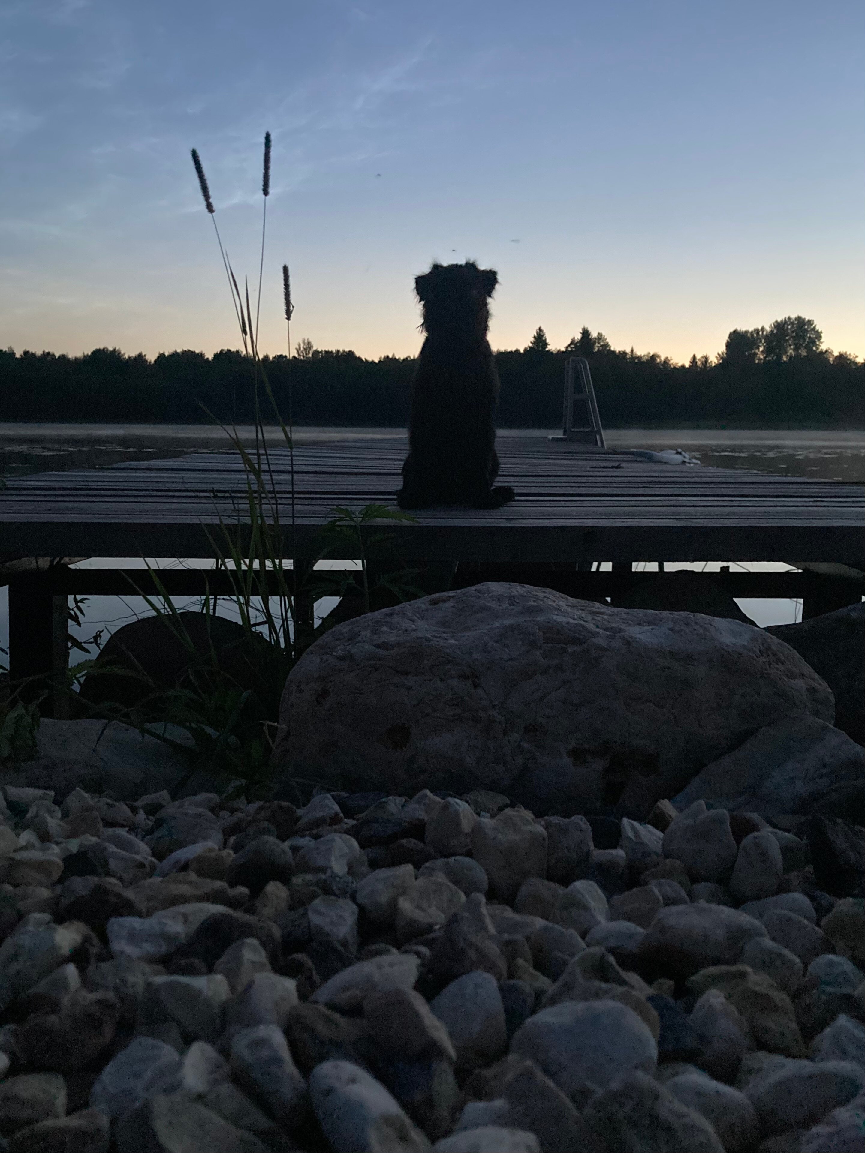 Фото Chuchemlya eco village