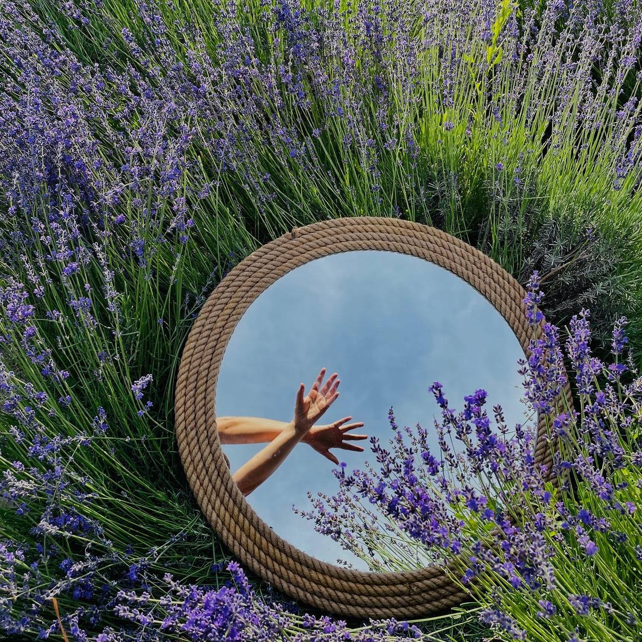 Фото Северский Рыбхоз