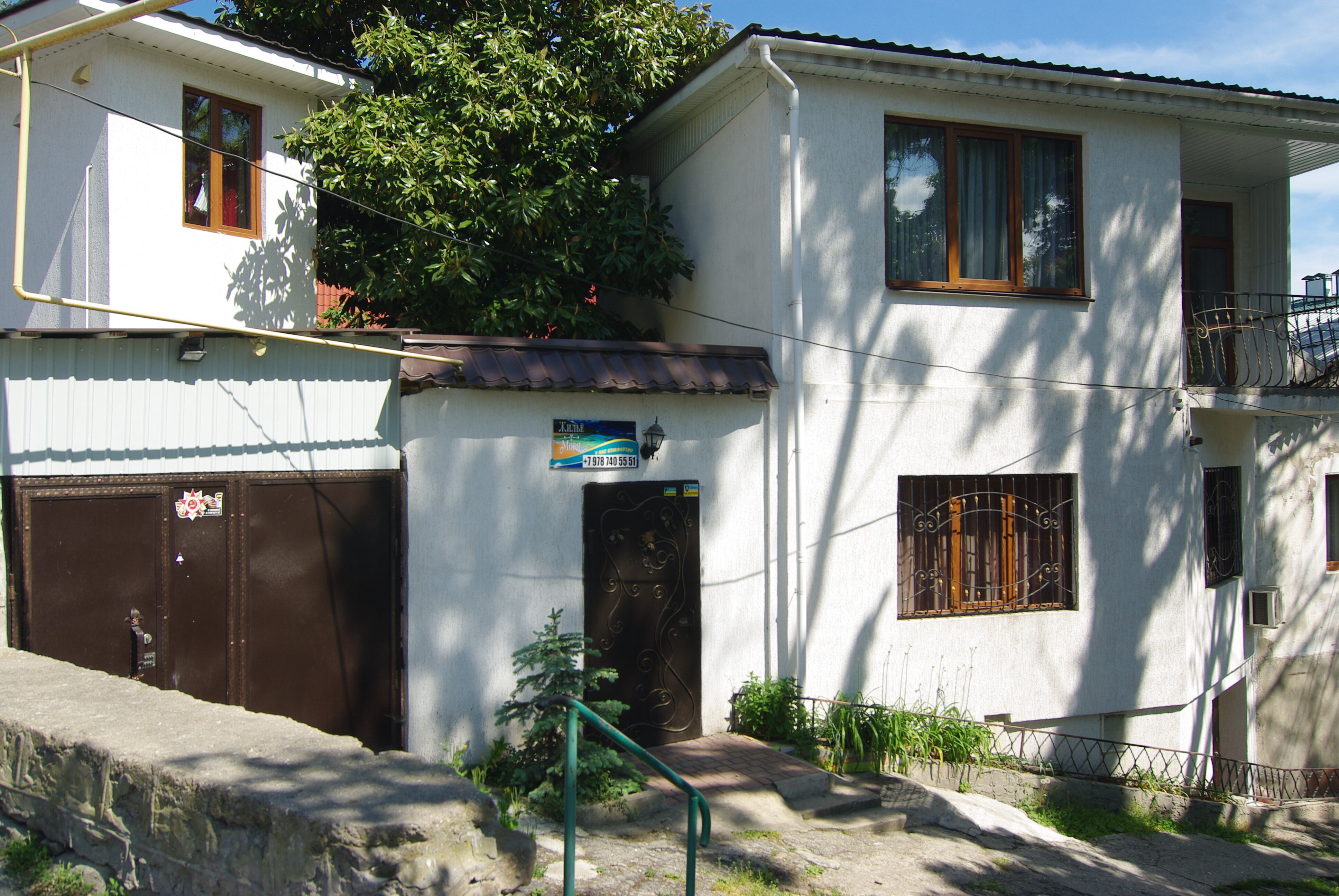 Фото Белая магнолия