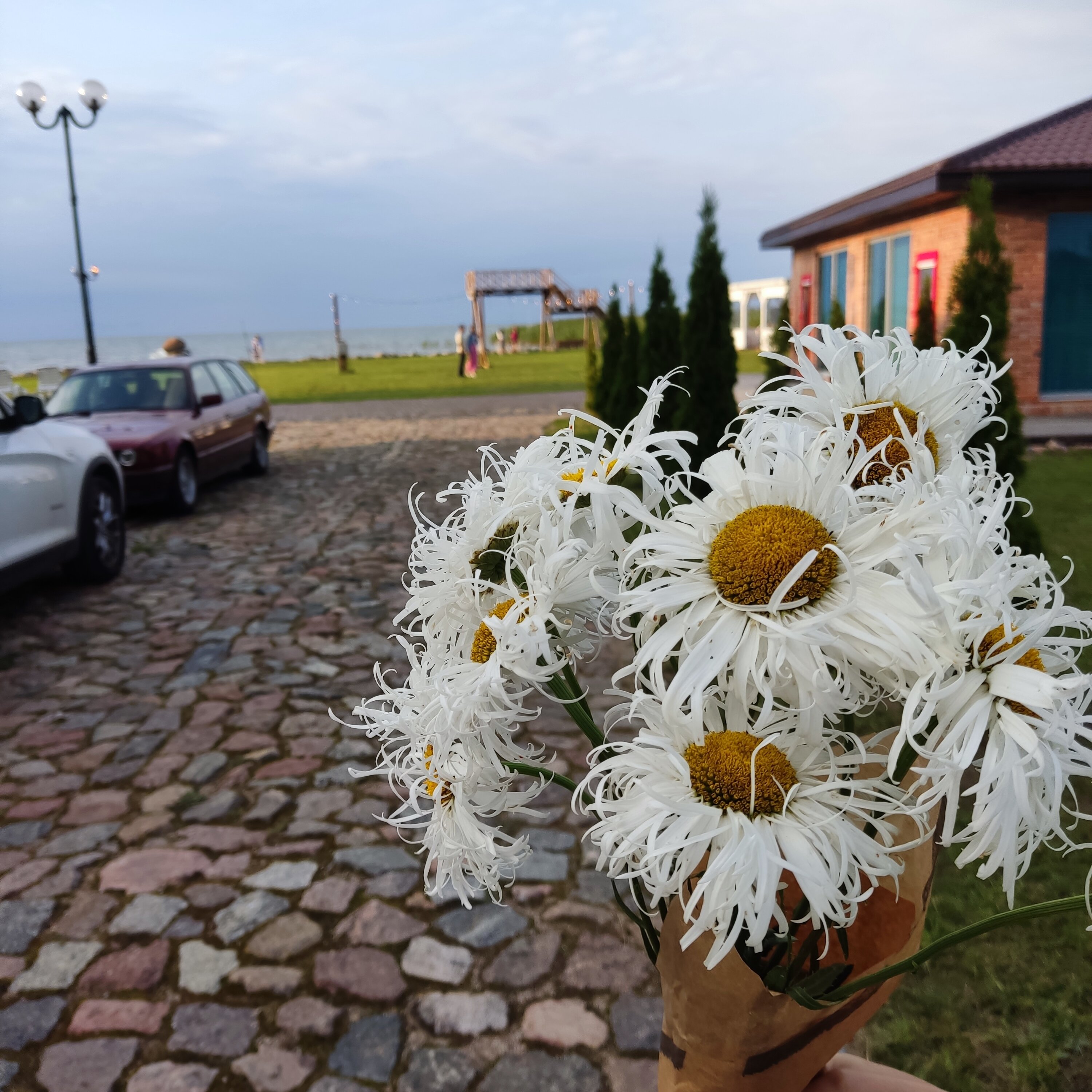 Фото Липовый Парк