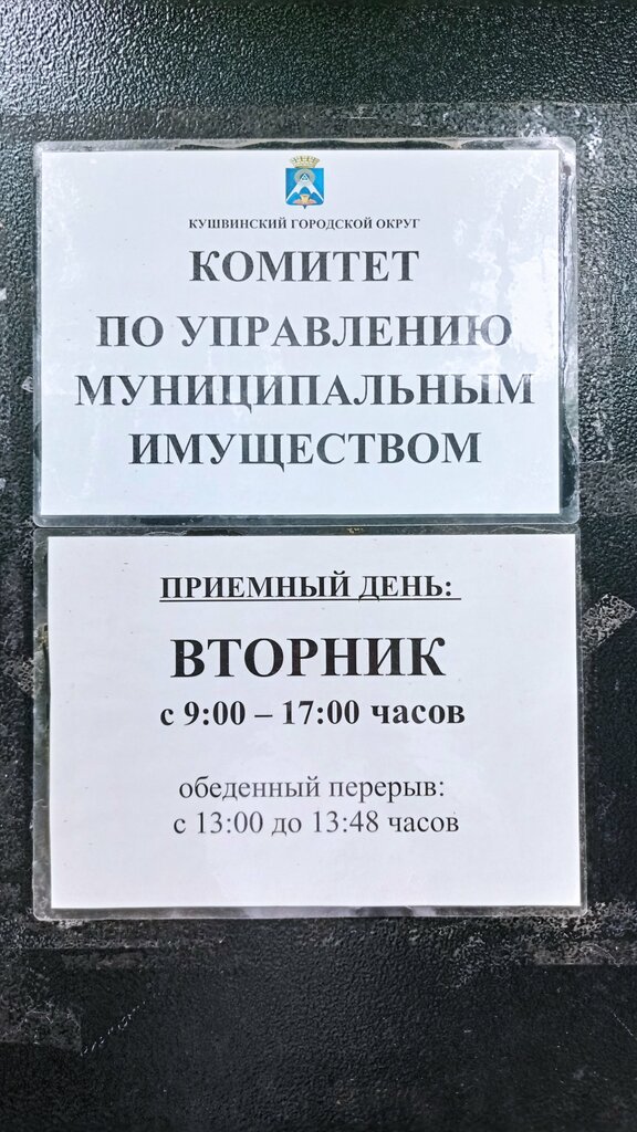 Administration Комитет по управлению муниципальным имуществом Кушвинского городского округа, Kushva, photo