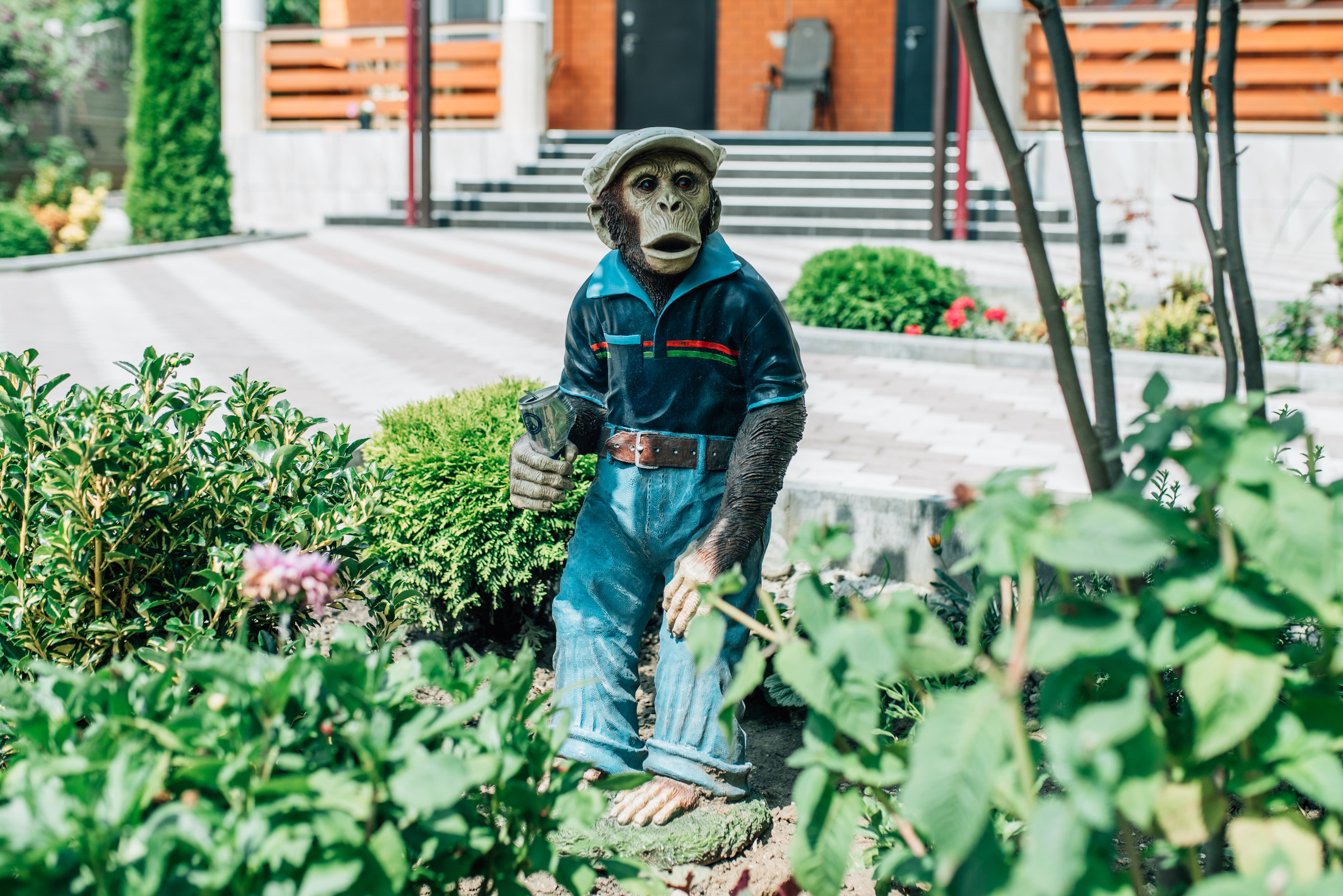 Фото Огни хаджоха