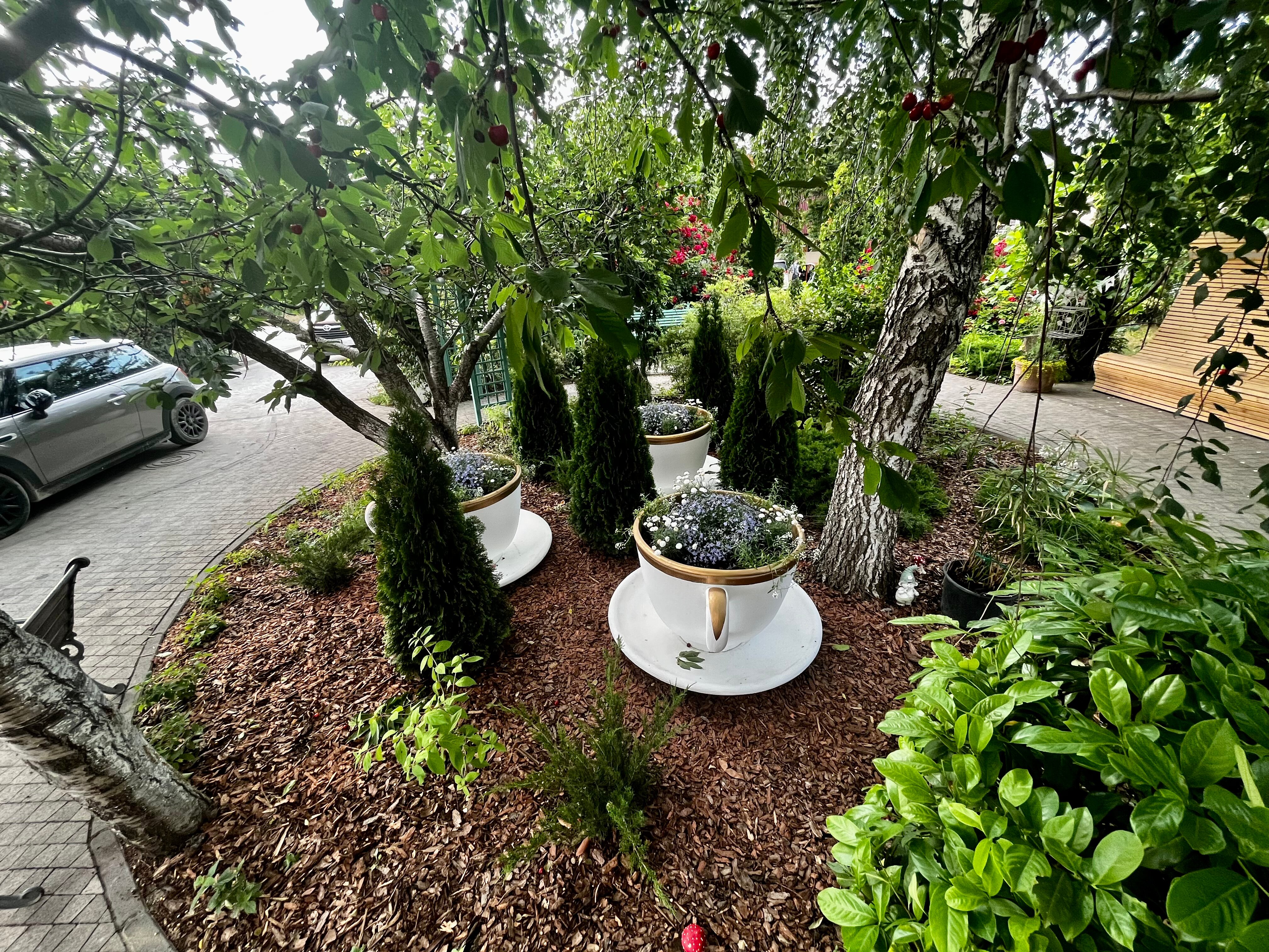 Фото Оливия