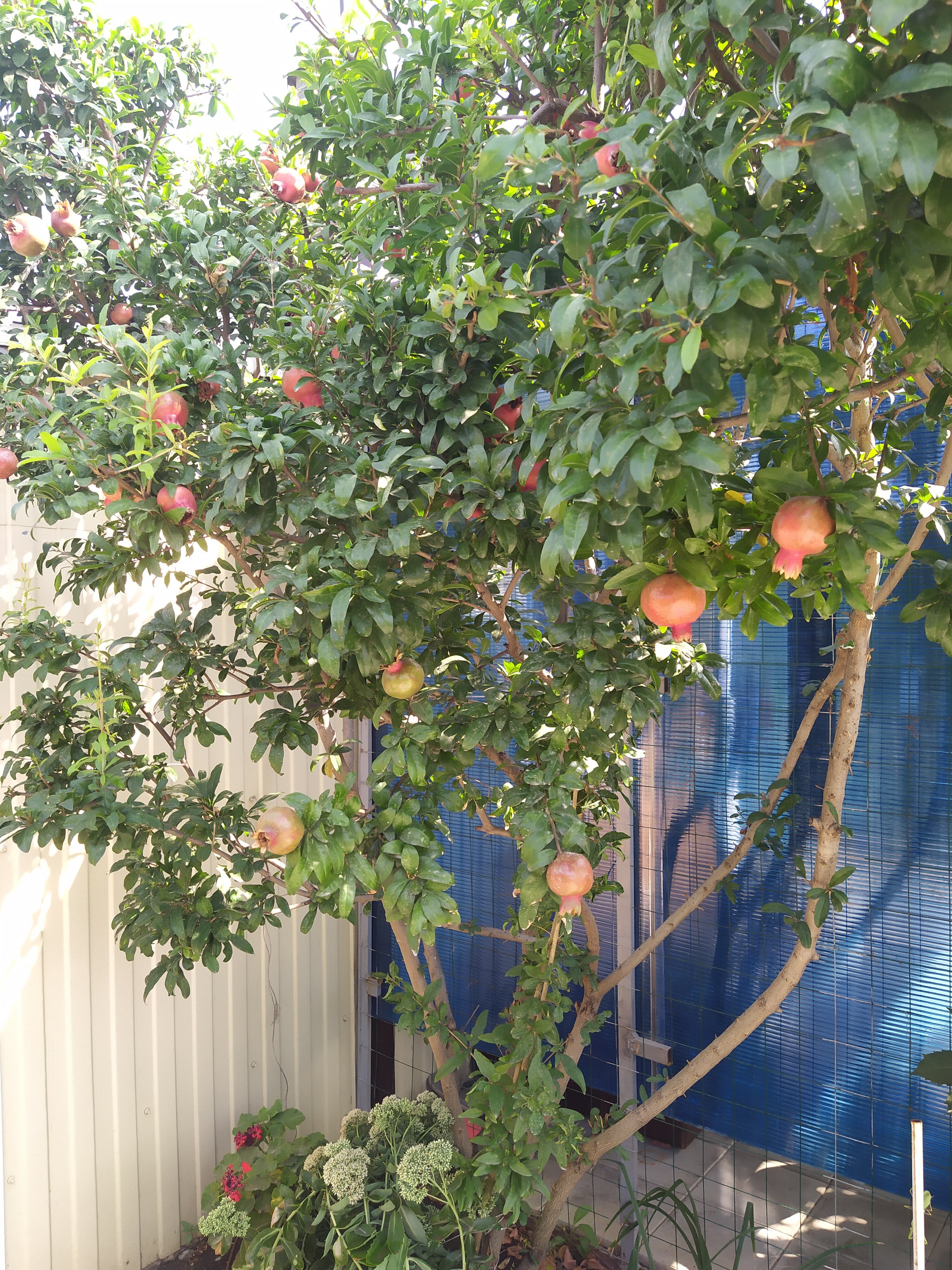 Фото АртДиЖан