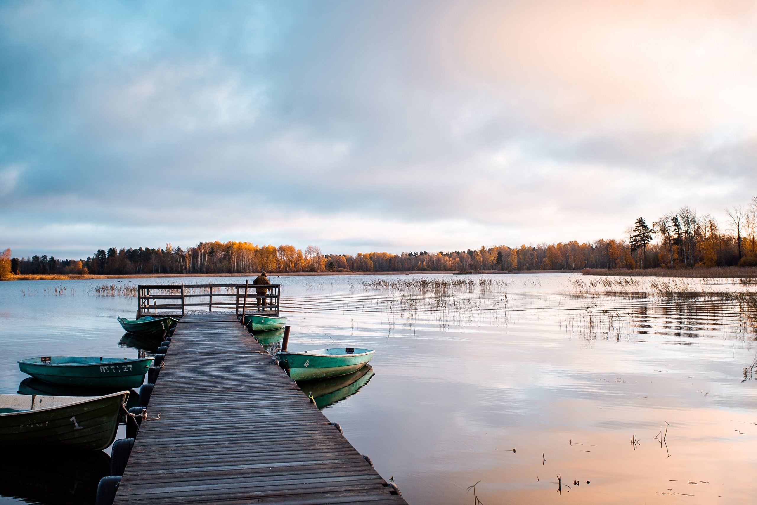 Фото Плотвичкина заводь