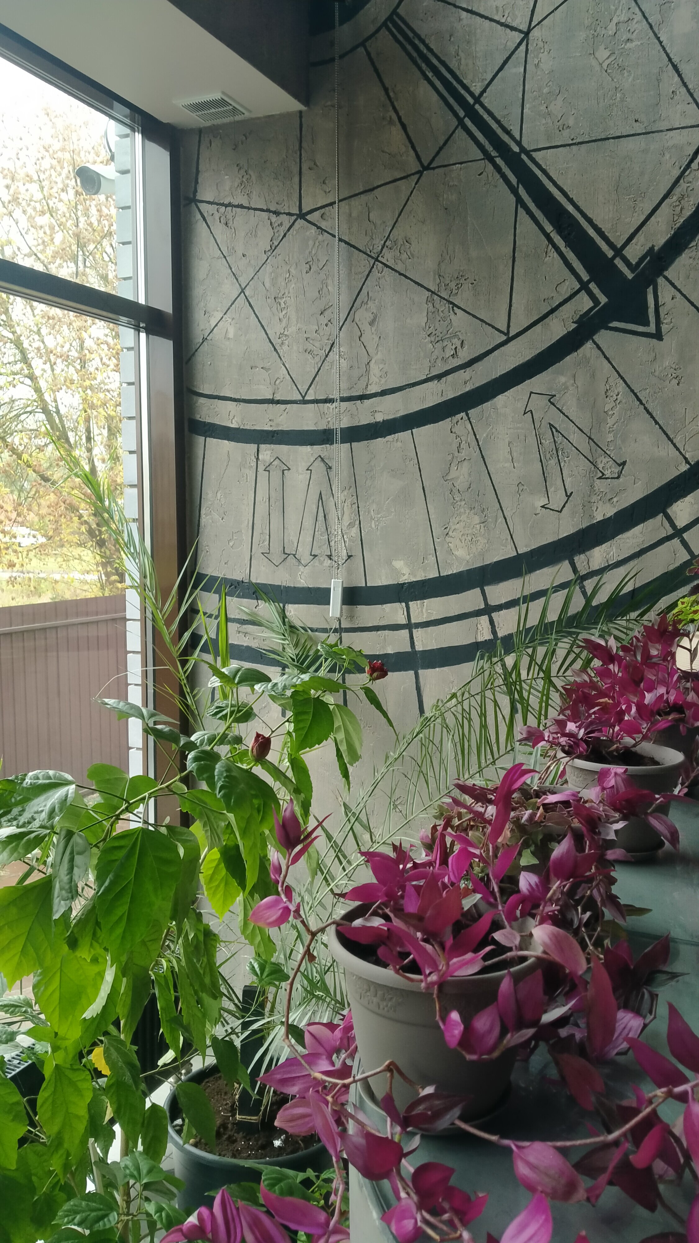 Фото Тверской