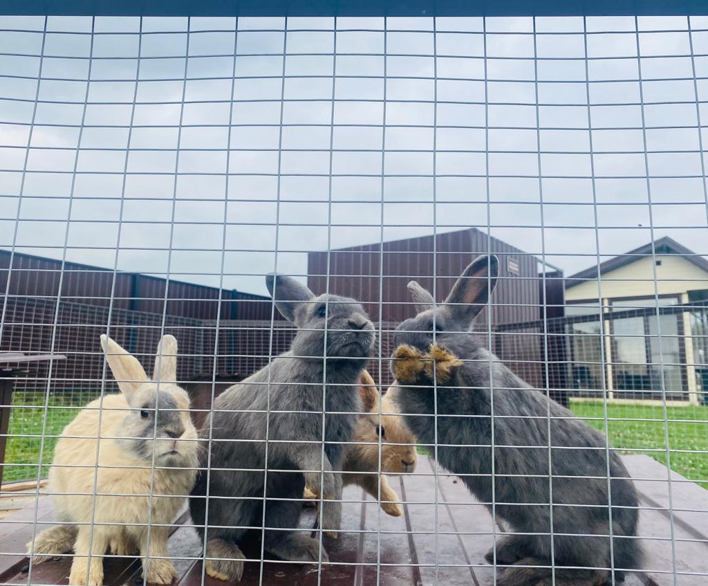 Фото Ярославские озерки