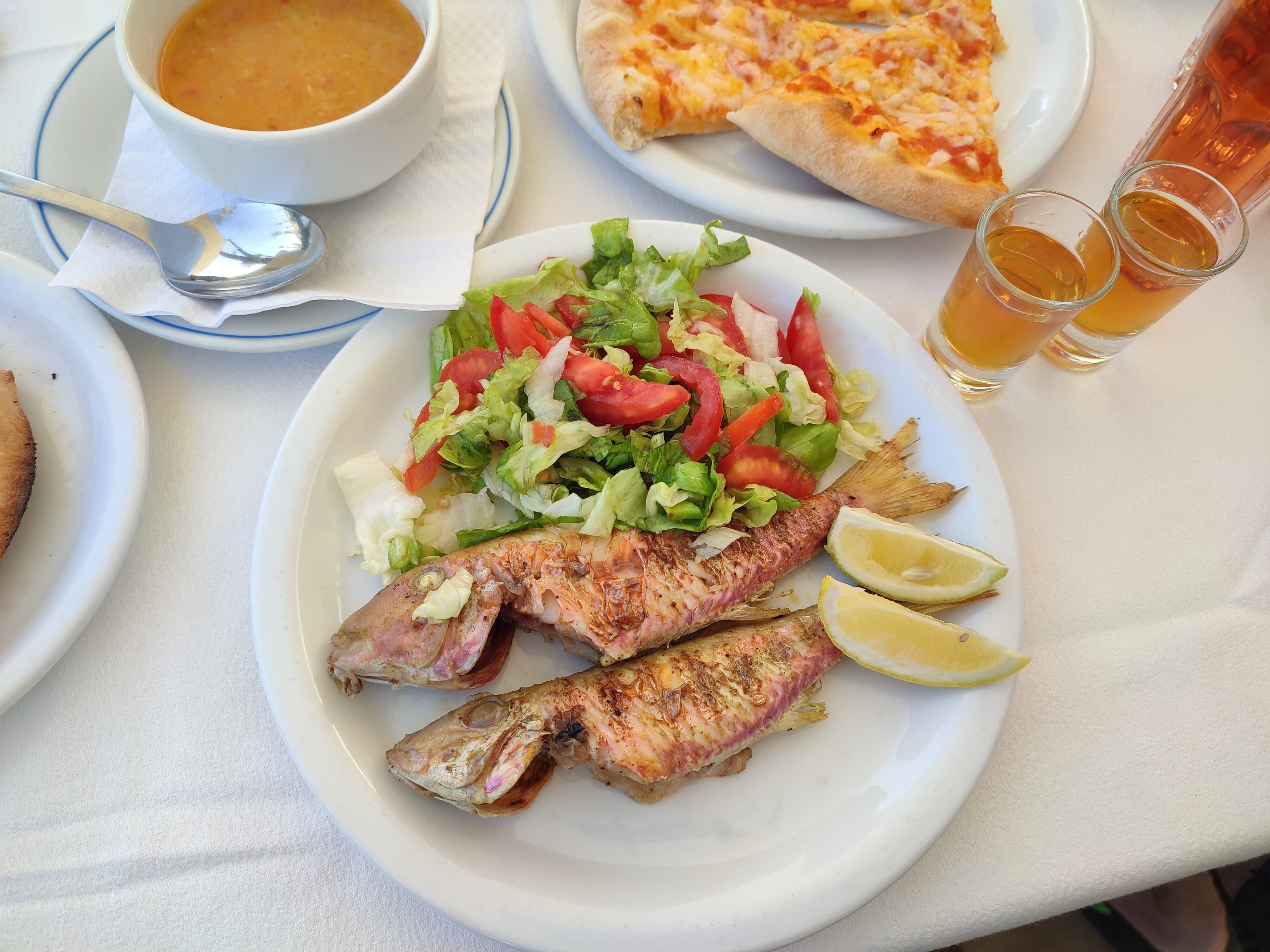 Фото PrimaSol El Mehdi