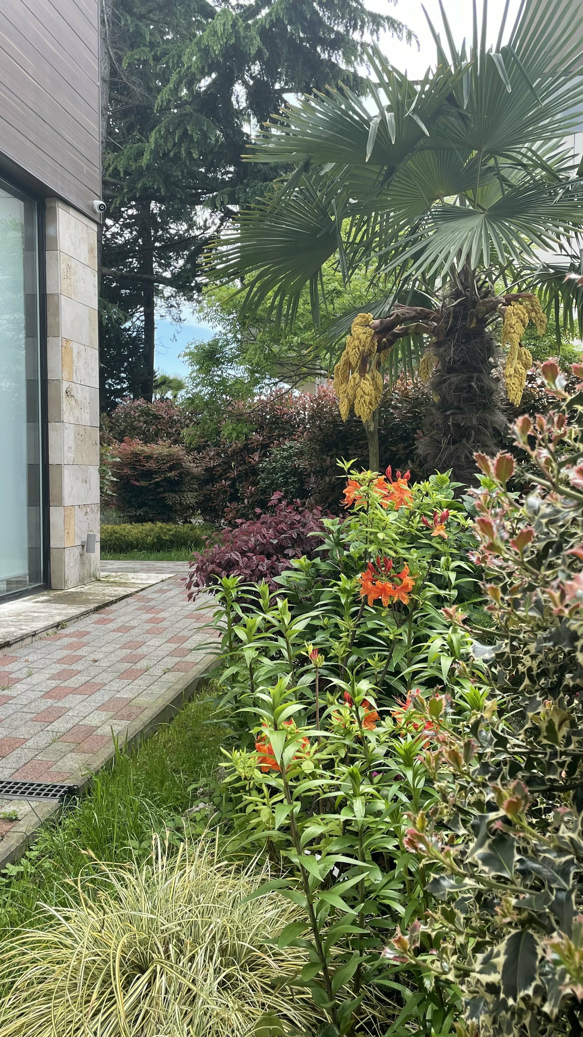 Фото Pulsar Villa Deluxe