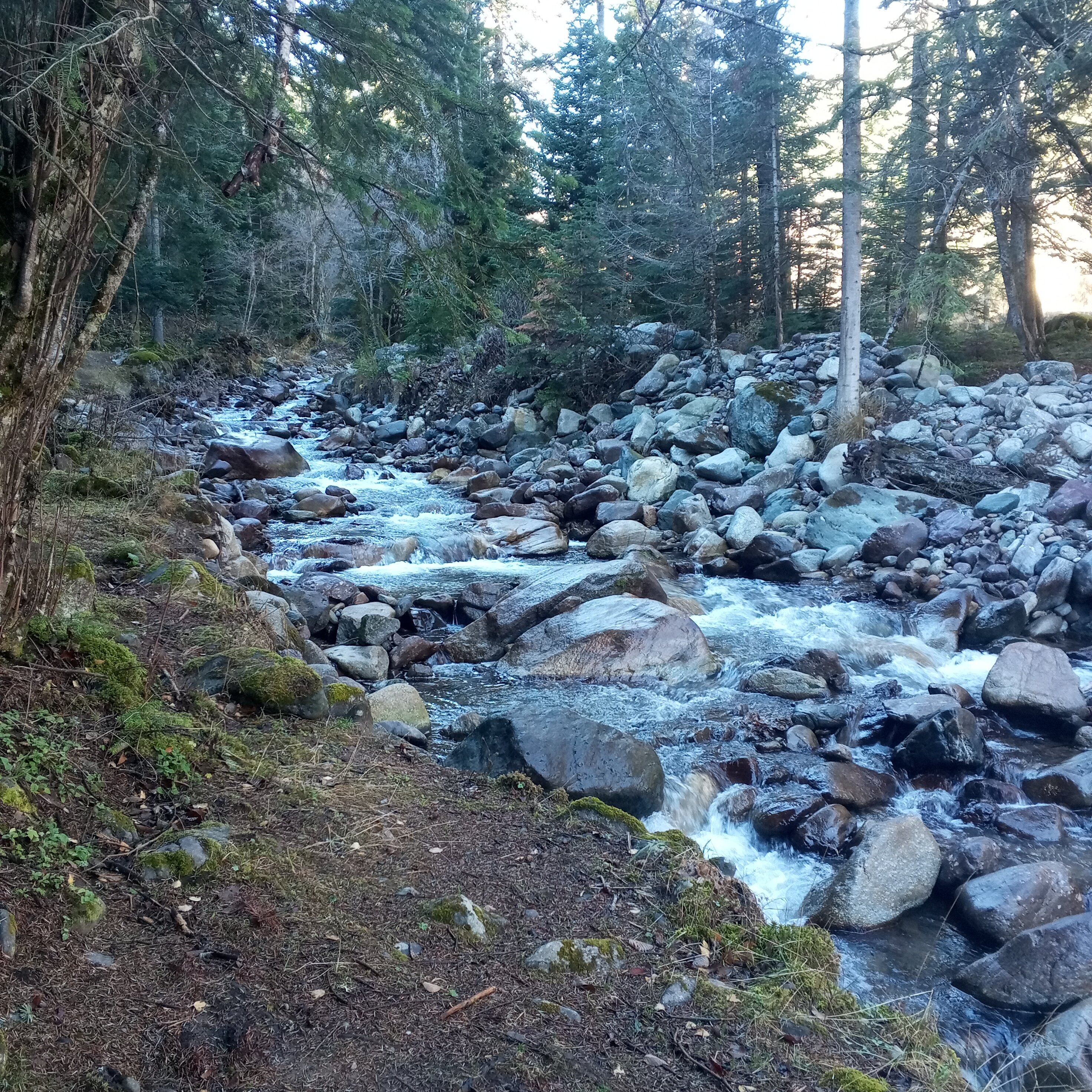 Фото Дача МиСо Теберда