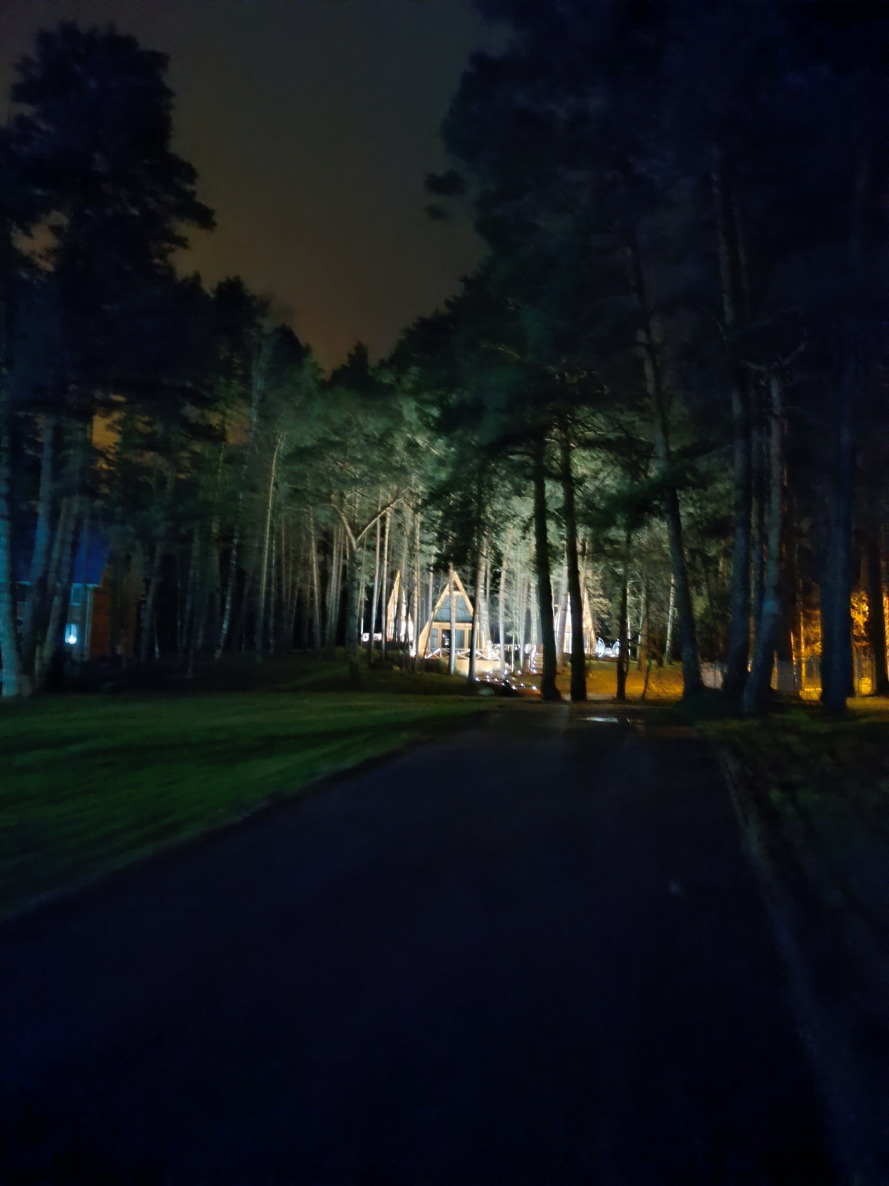 Фото Лесная опушка