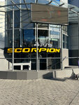 Scorpion 2.0 (ulitsa Chernyshevskogo, 230/178), cafe