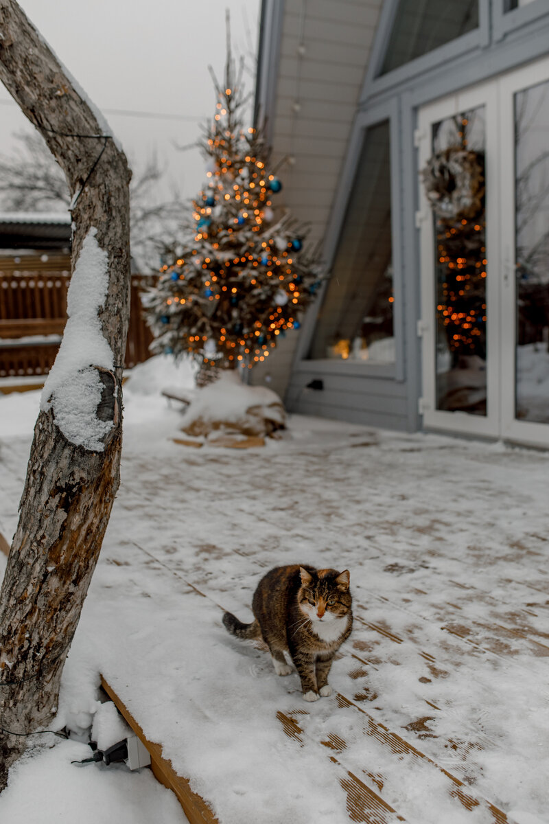 Фото А-Шалаш