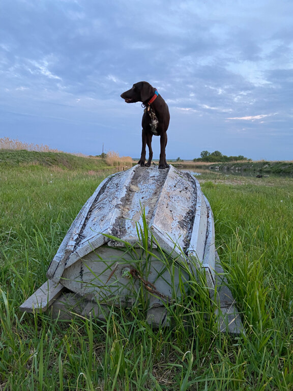 Фото Домики у Пруда