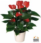 Orange Logistic (Gorbunova Street, 2с3) ، متعهد النقل