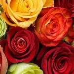 Love Букет (ул. Паровозников, 30, Артёмовский), доставка цветов и букетов в Артёмовском