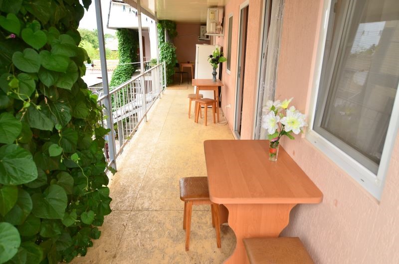 Фото Ласточка