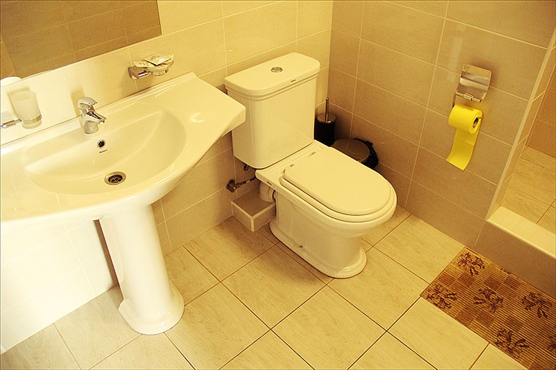 Фото Монарх