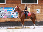 Сосновый бор (Учительская ул., 49, корп. 1), конный клуб в Новосибирске