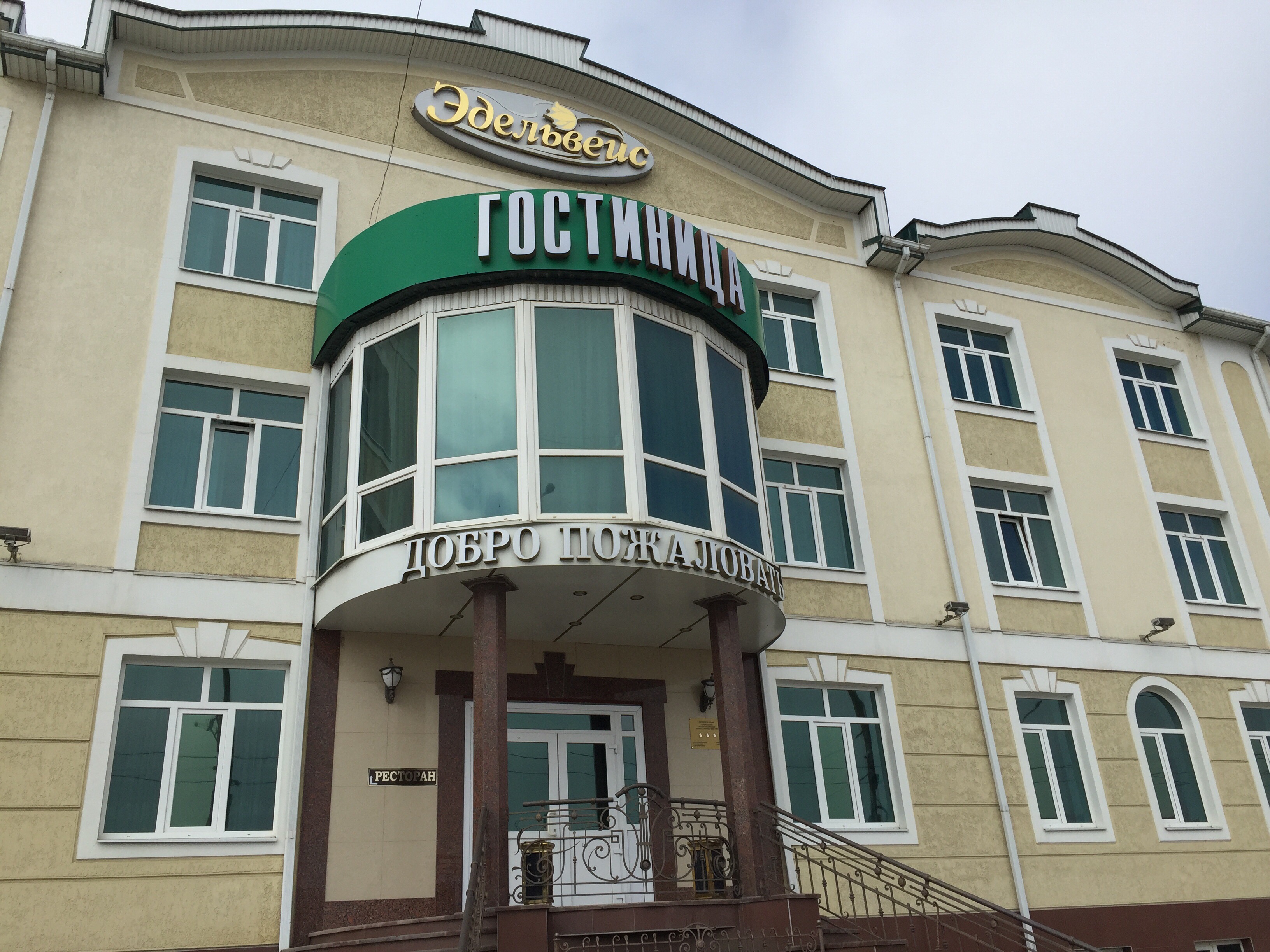 Фото Эдельвейс