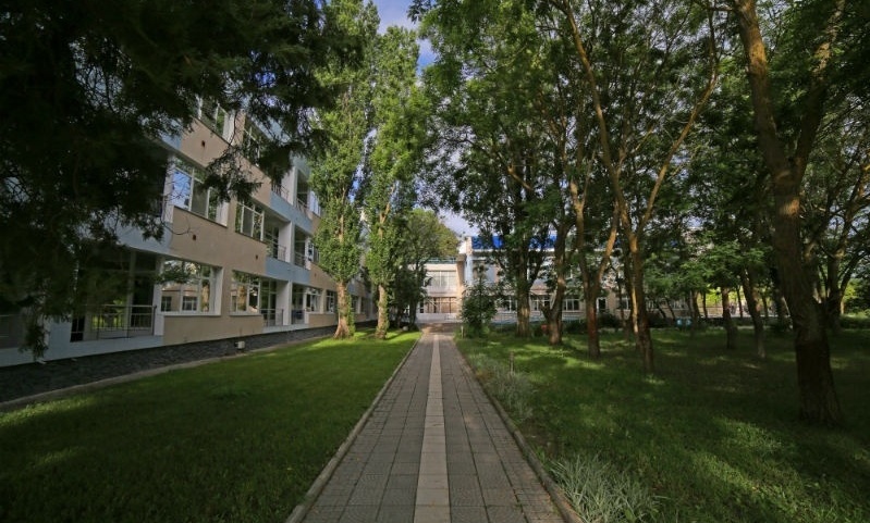 Фото Возрождение