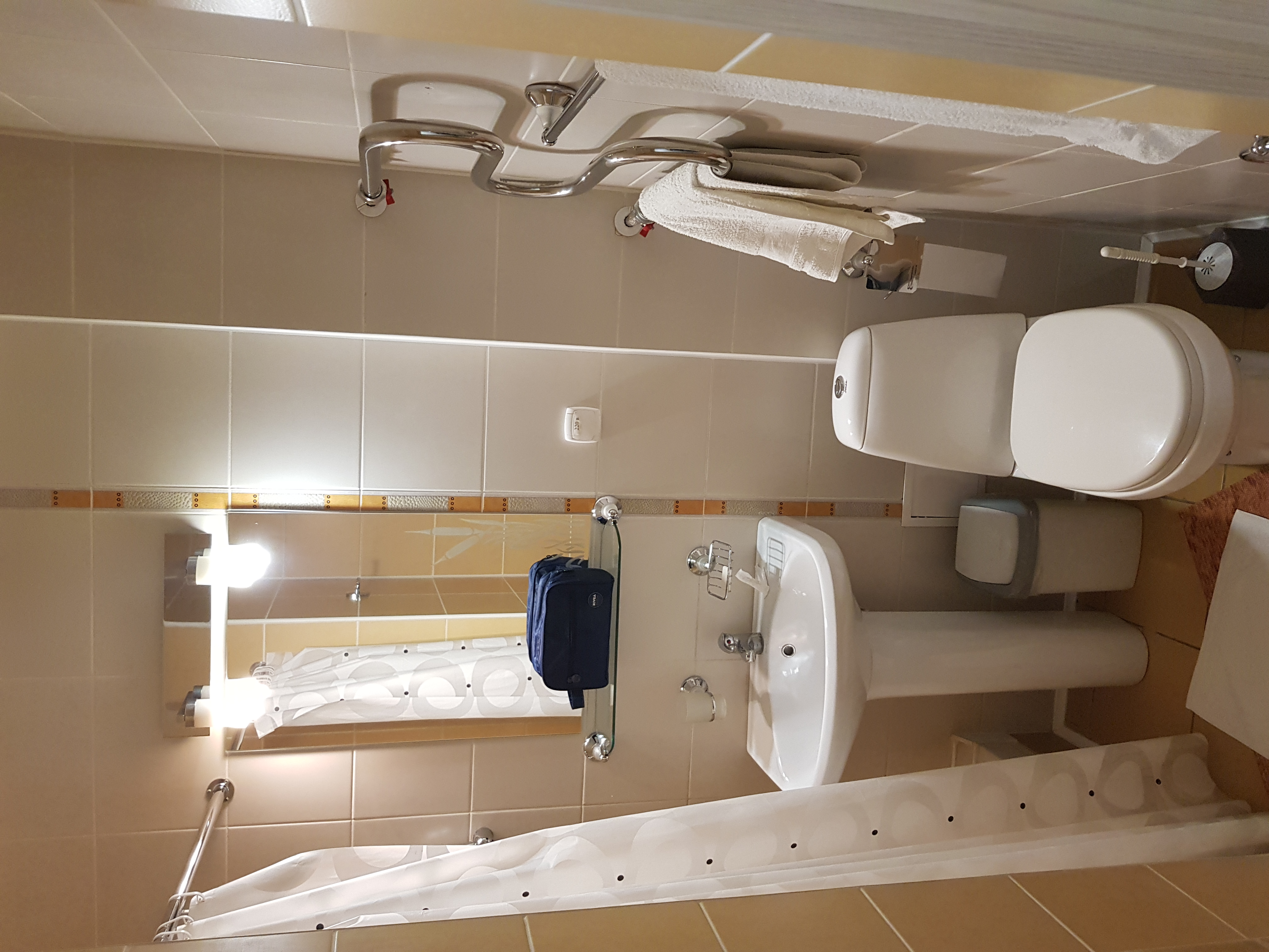 Фото Алейка