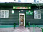 Ваша аптека (Республиканская ул., 6, микрорайон Жилгородок, Волгоград), аптека в Волгограде
