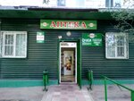 Vasha apteka (Volgograd, Zhilgorodok Neighborhood, Respublikanskaya ulitsa, 6), pharmacy