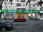 Babochka (Miklukho-Maklaya Street, 40к1), flower shop