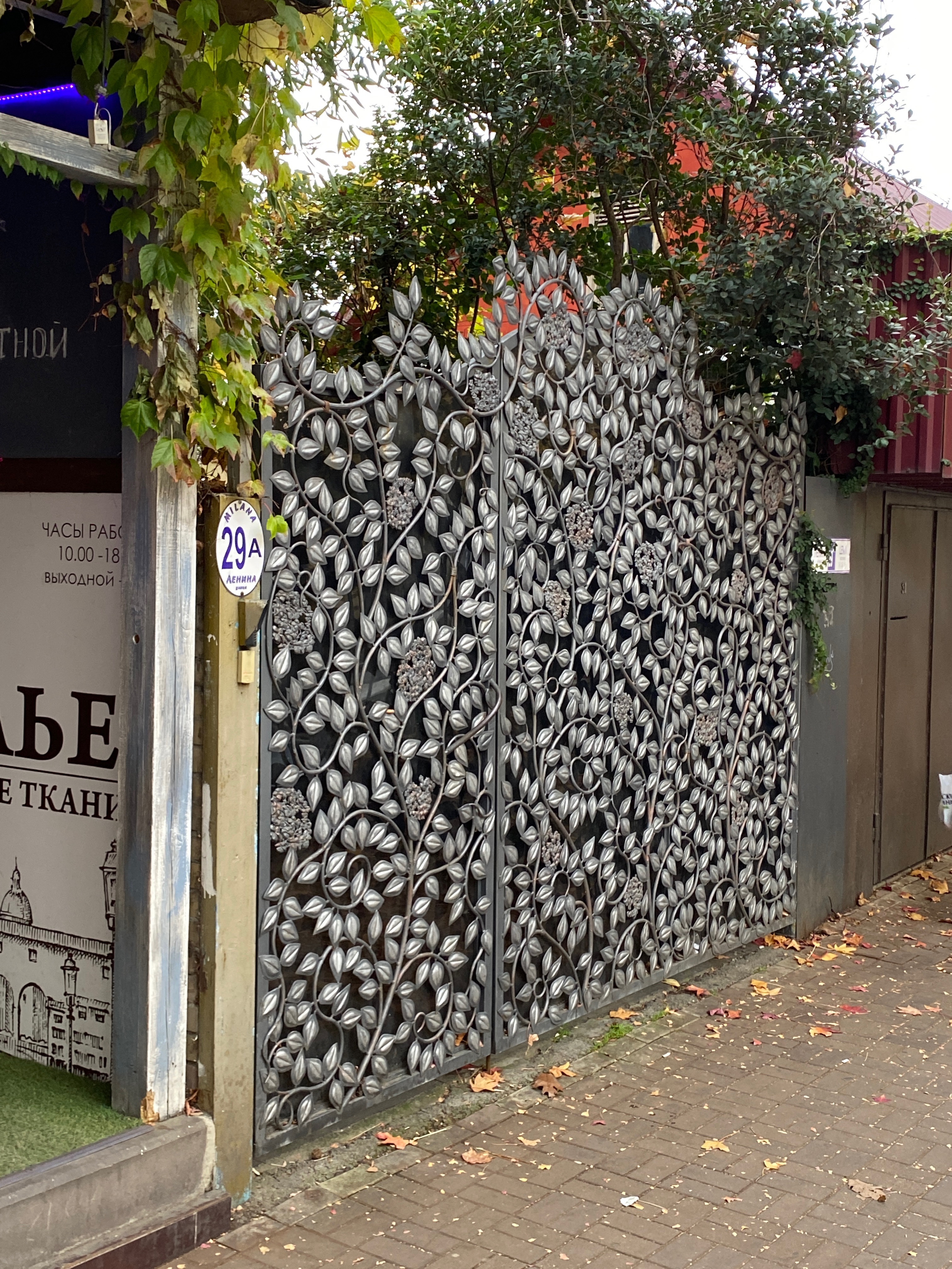 Фото Милана