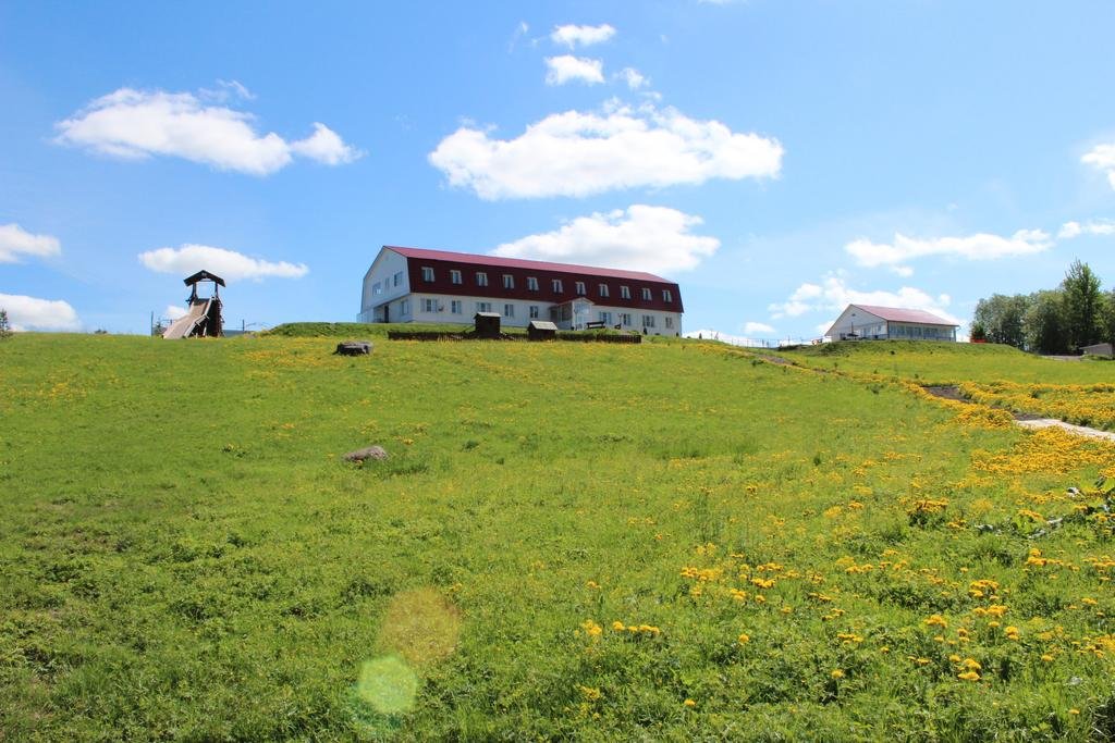 Фото Лесная гавань