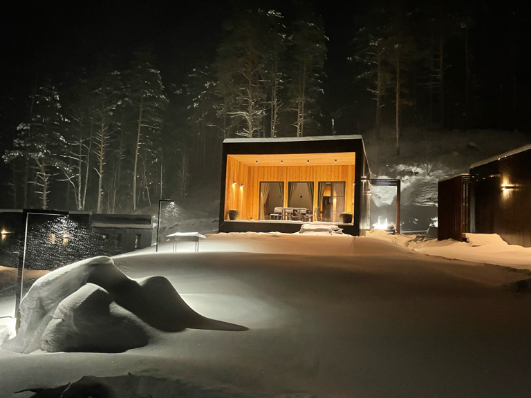 Фото Шелест