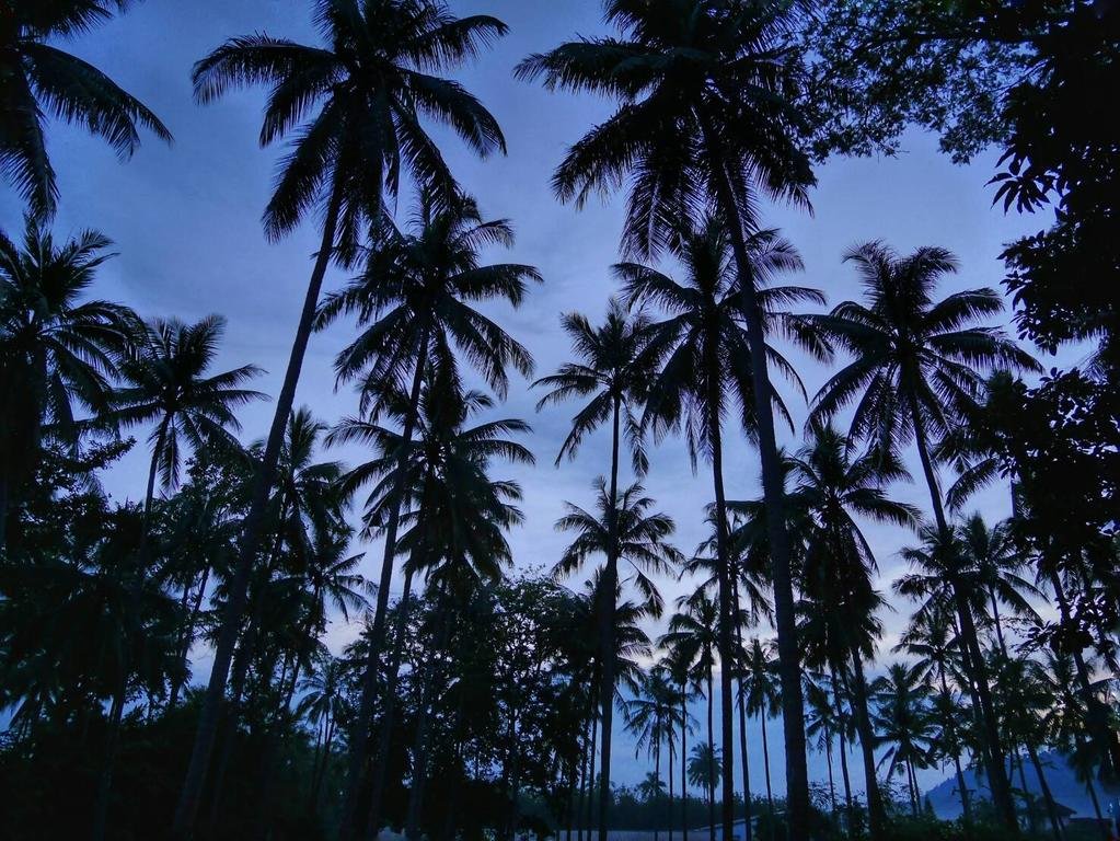 Фото Arcadian Resort