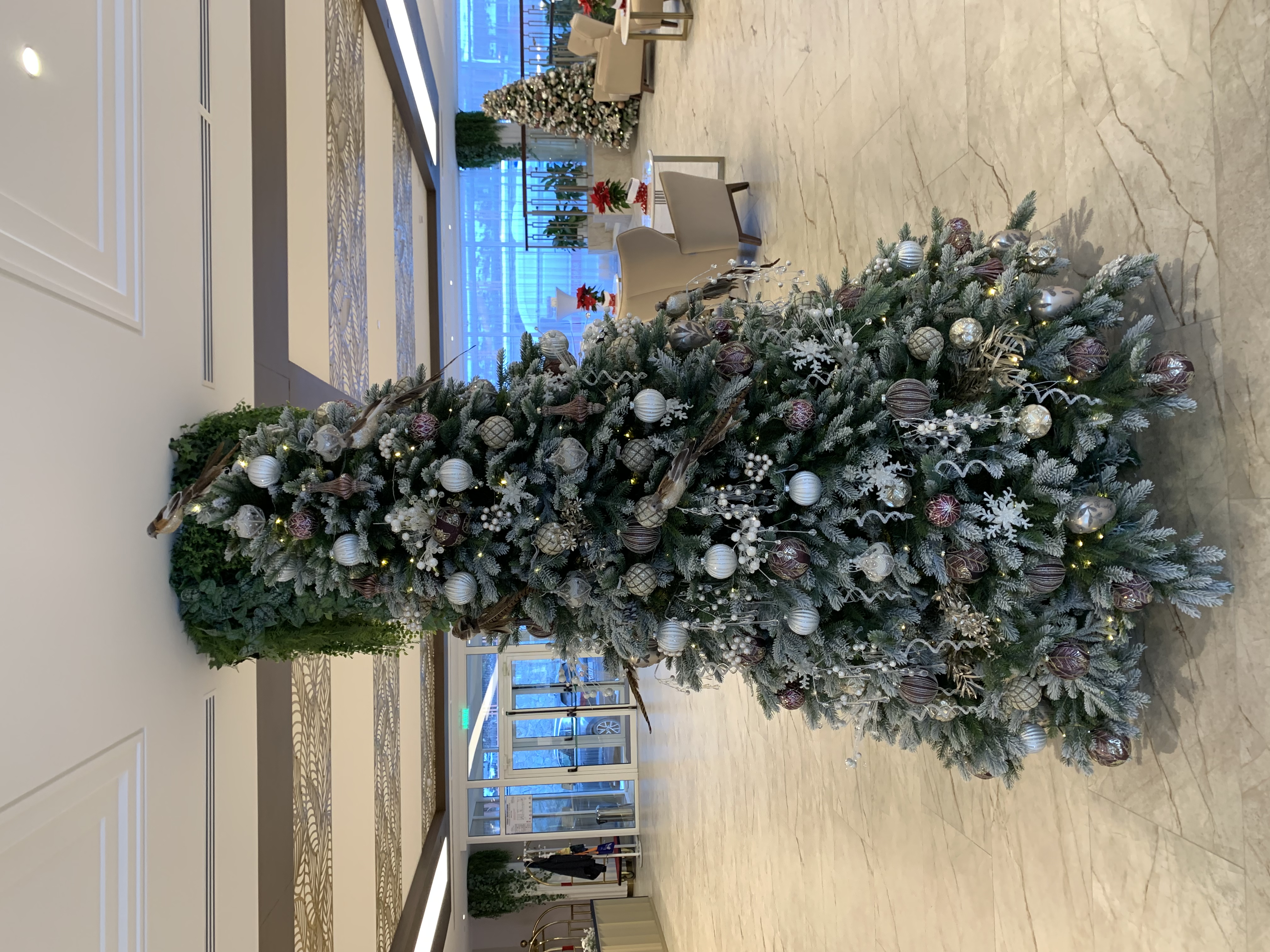 Фото Плаза СПА