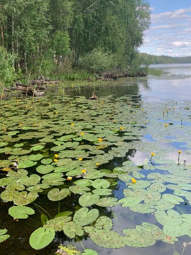 Дом Отдыха Глэмпинг-парк Зазеркалье в Асбесте